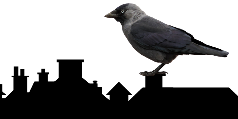 allike-header-1680×406